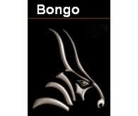 15633094858703-bongo3dsoftware20