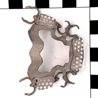 17696995398229-aquapolministarterkitgoldelettrolucidatura4pezzikorasaquapolminijewelryelectropolishingsystems