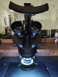 17806740594142-microscopiobinoculareperincastonaregemmamodelloacrobinoblack