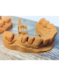 17884378539166-resinabluecastfastdentalmodelconfgr500