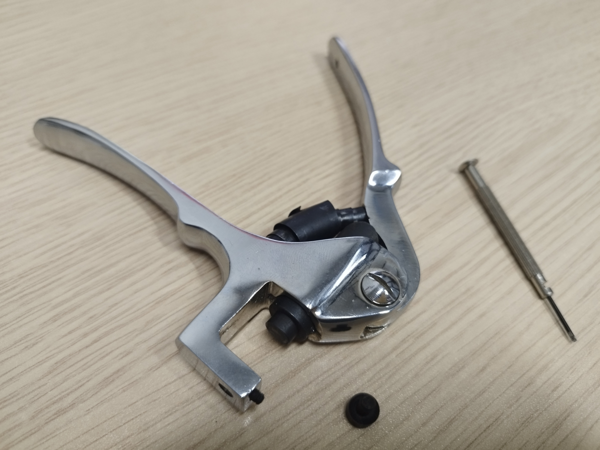 Elegante oro gioielli incisione strumento di stampa pinza per